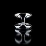 Brute Phantom ring in 18K gold