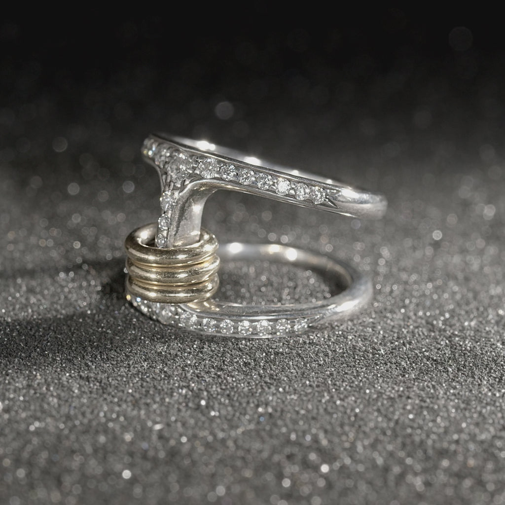 Phantom SK Pavé by HOORSENBUHS®, in motion